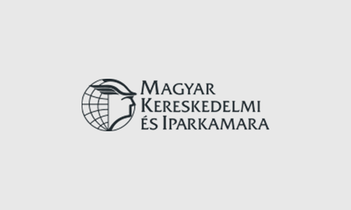 Virtuális magyar-török gazdasági fórum és üzletember-találkozó