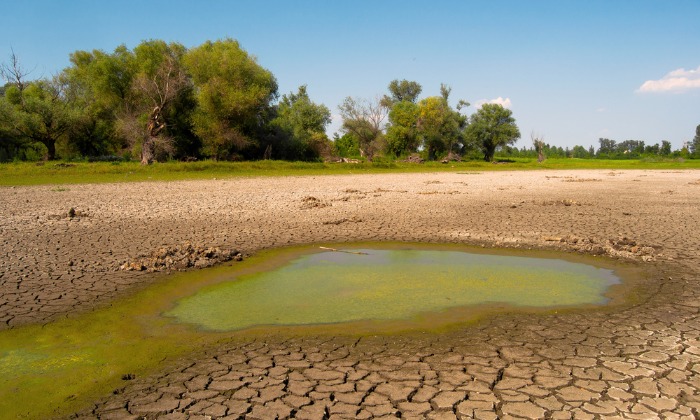Drought Is Affecting Large Parts of Hungary