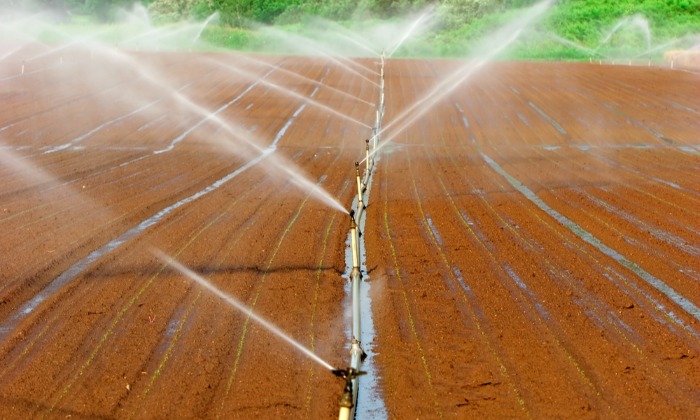 Hungarian Government Supporting Irrigation Systems
