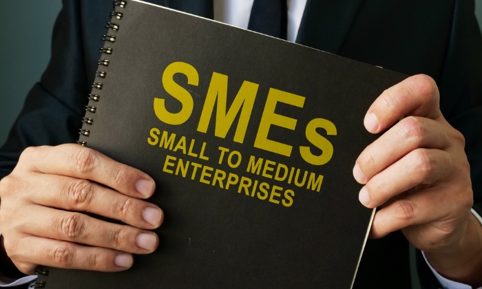 Sándor Demján Program Boosts SME Lending in Hungary