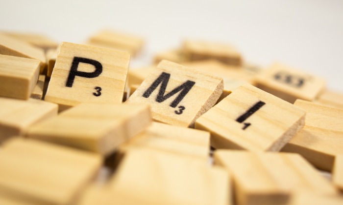 Hungary PMI Slips to 48.9 in June