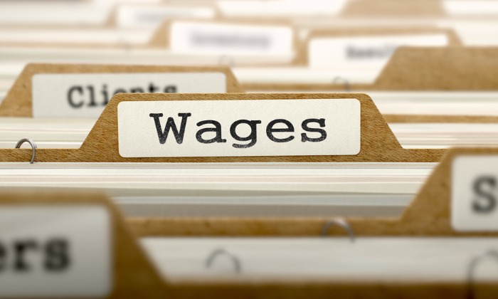 Hungarian Wage Data a Pleasant Surprise, But is No Silver Bullet