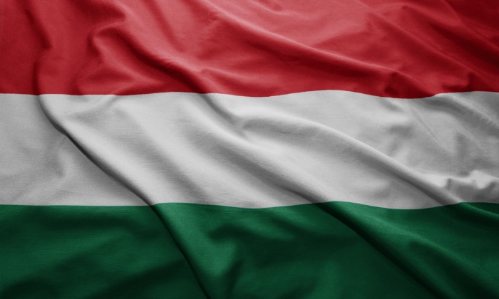Hungary's Population Falls to 9.58 Million