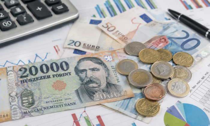 Vállalkozói gyorsfelmérés a forint–euró árfolyam gazdasági hatásairól